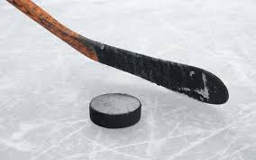 hockeystick hockeystick